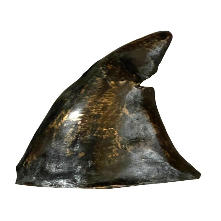Sculpture - Aileron H8 - N°13/100 - Noir et Marron