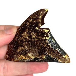 Sculpture - Aileron H6 - N°63/273 - Noir et Or