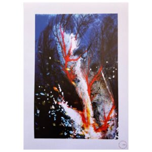 Impressions - Gorgone - 45 x 32 cm