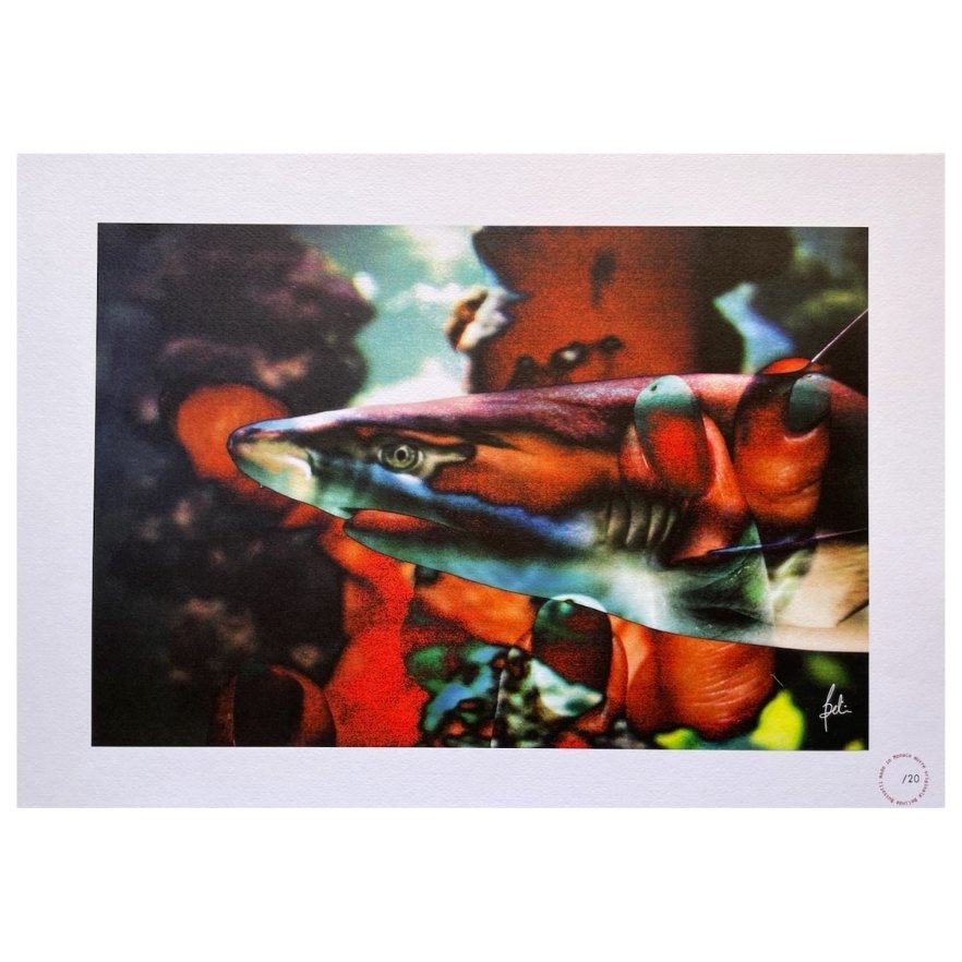 Impressions - In Our Hands - 45 x 32 cm