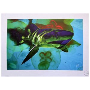 Impressions - Meduses - 45 x 32 cm